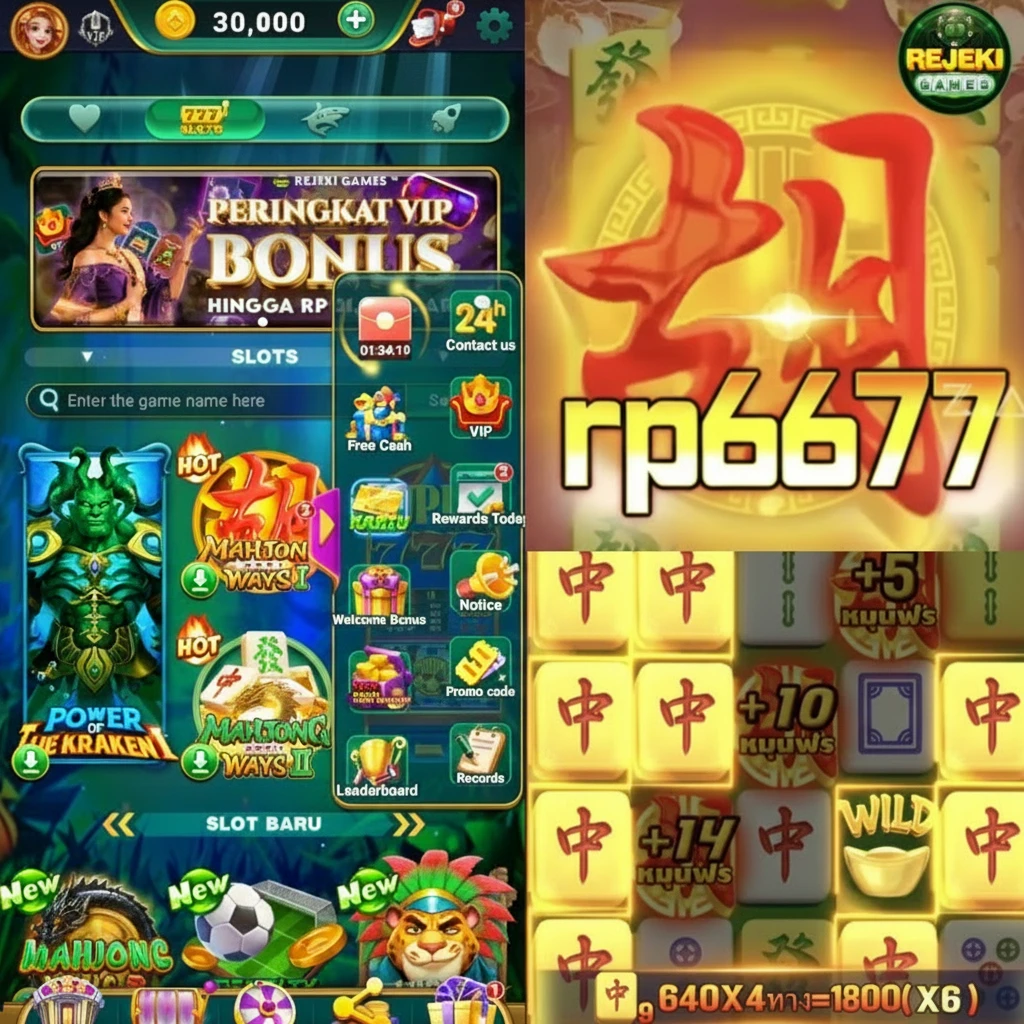 rp6677